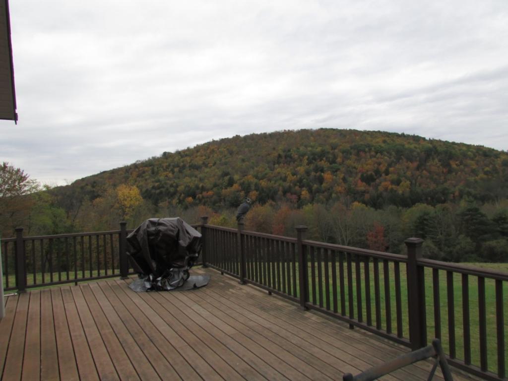 206 Conklin Forks Road Conklin, NY 13748 - Photo 21 of 25 Gallery Image 21