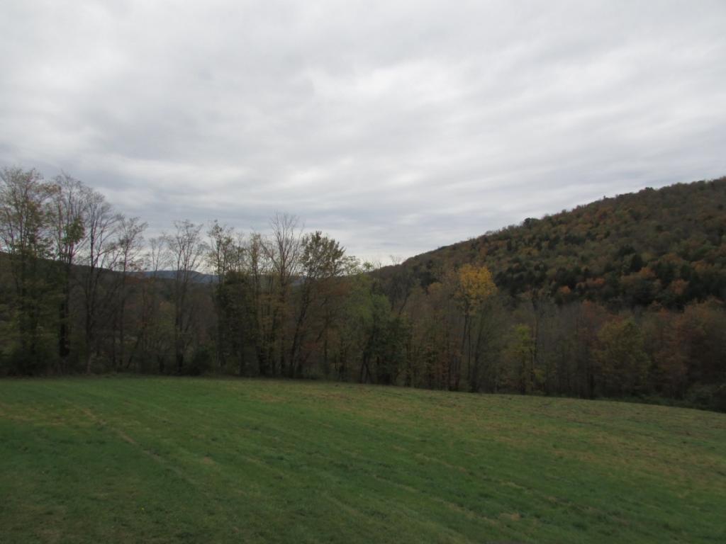 206 Conklin Forks Road Conklin, NY 13748 - Photo 23 of 25 Gallery Image 23