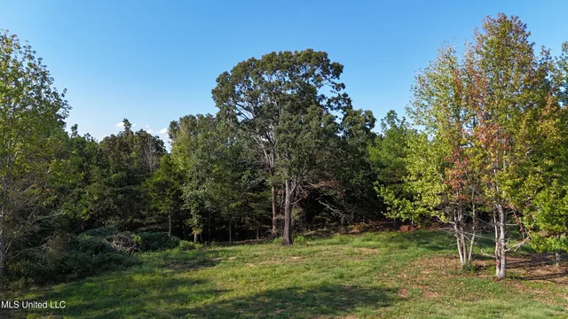$46,500 | 0 Tyro Branch Cove, Senatobia, MS 38668
