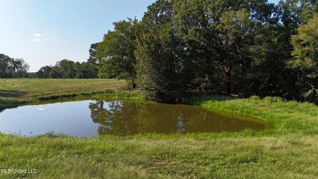 $46,500 | 0 Tyro Branch Cove, Senatobia, MS 38668