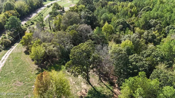 $46,500 | 0 Tyro Branch Cove, Senatobia, MS 38668