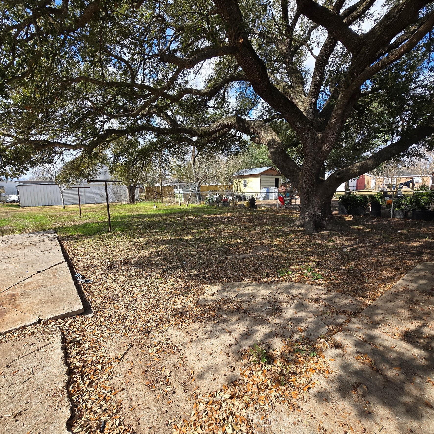 1003 Merchant Street El Campo, TX 77437 - Photo 13 of 13 Backyard