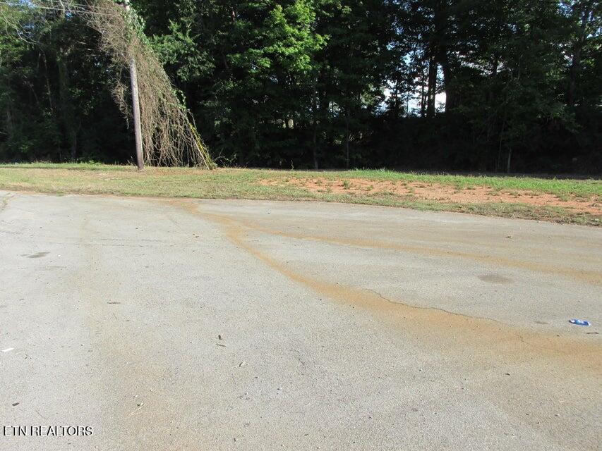 650 Highway 95 Greenback, TN 37742 - Photo 4 of 15 04