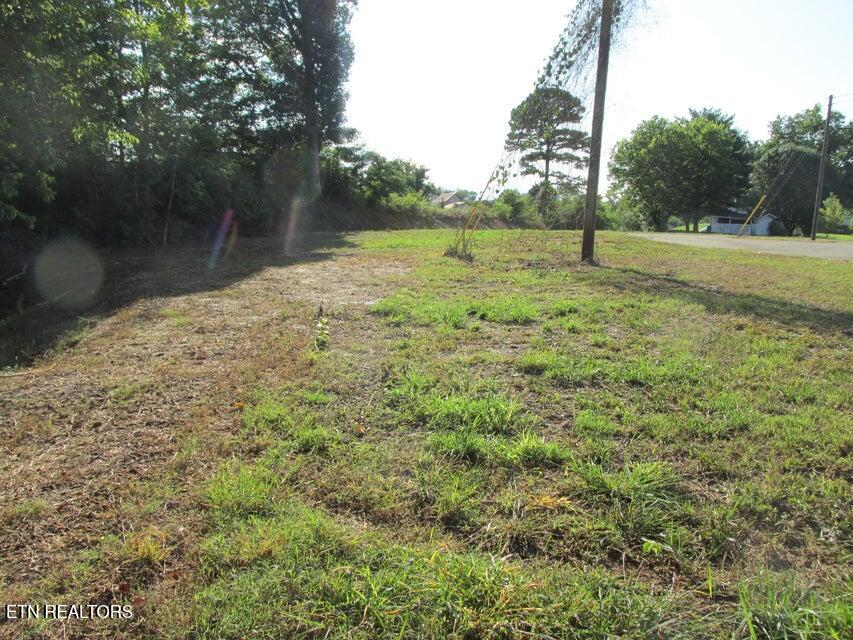 650 Highway 95 Greenback, TN 37742 - Photo 9 of 15 09