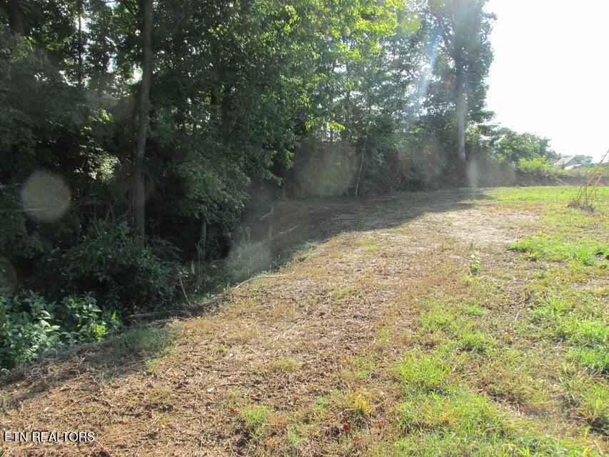 650 Highway 95 Greenback, TN 37742 - Photo 10 of 15 10