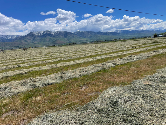 750 North Main Street Lewiston, UT 84320 - Photo 5 of 9 Expansive rural acreage featuring a large field with cut hay rows and distant snow-capped mountains