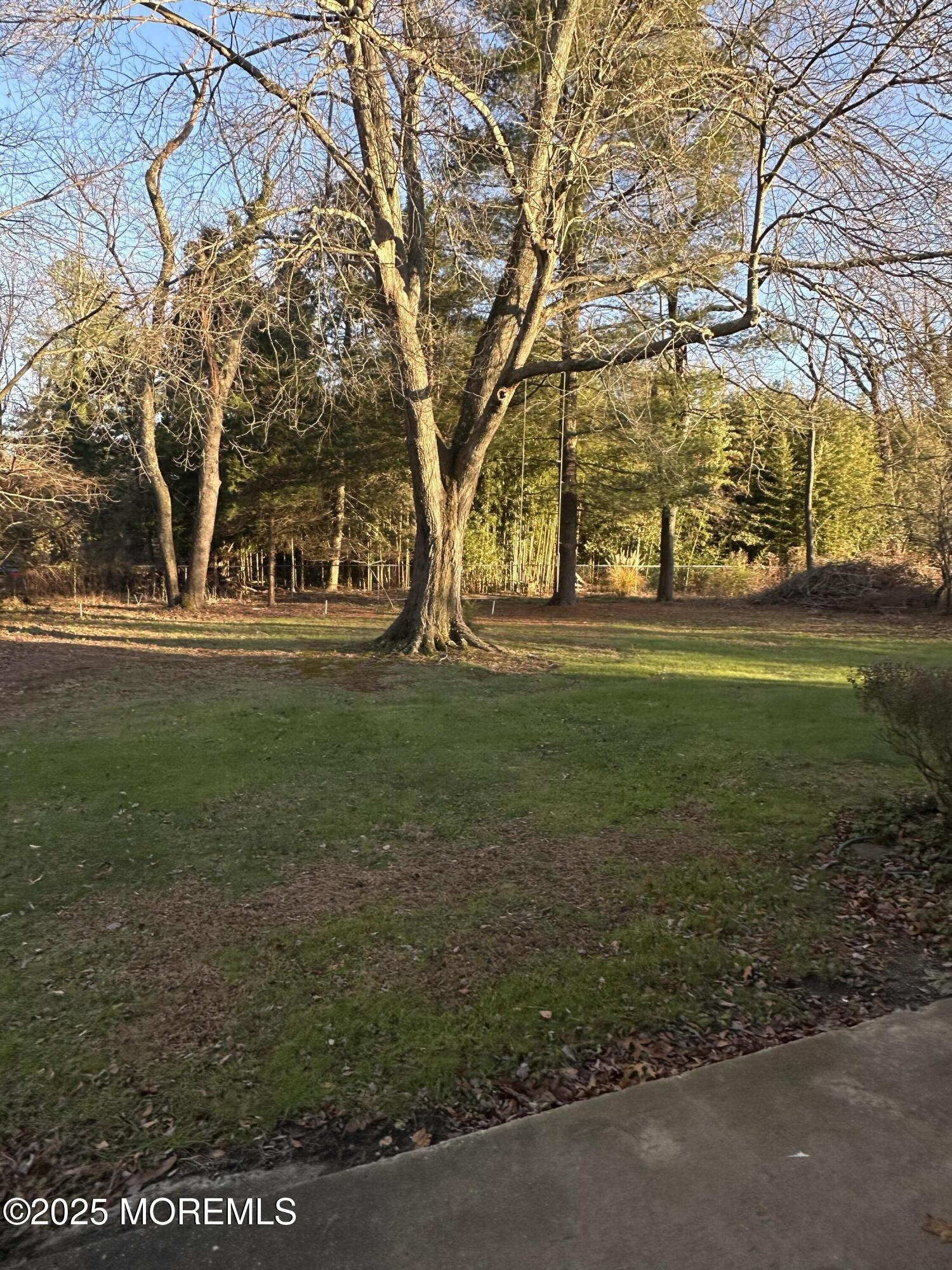 15 Georgia Tavern Road Farmingdale, NJ 07727 - Photo 14 of 17 a view of a park with large trees