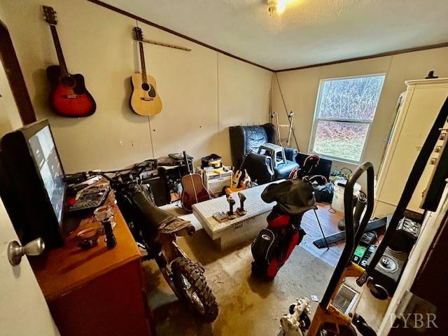 1959 Sweet Hollow Road Big Island, VA 24526 - Photo 15 of 26 a view of a room with gym equipment