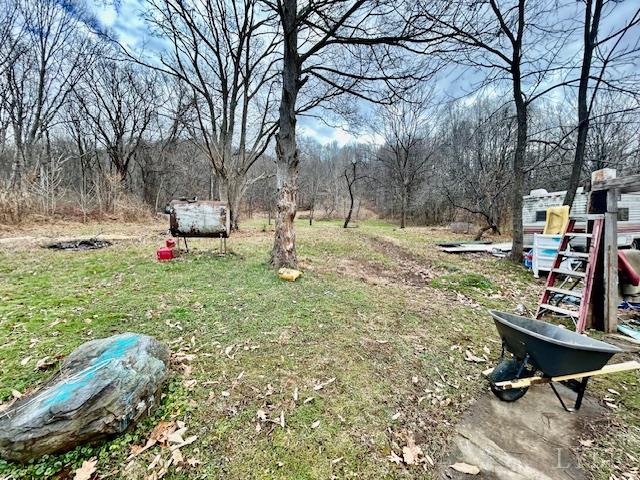 1959 Sweet Hollow Road Big Island, VA 24526 - Photo 24 of 26 a view of outdoor space with sitting area