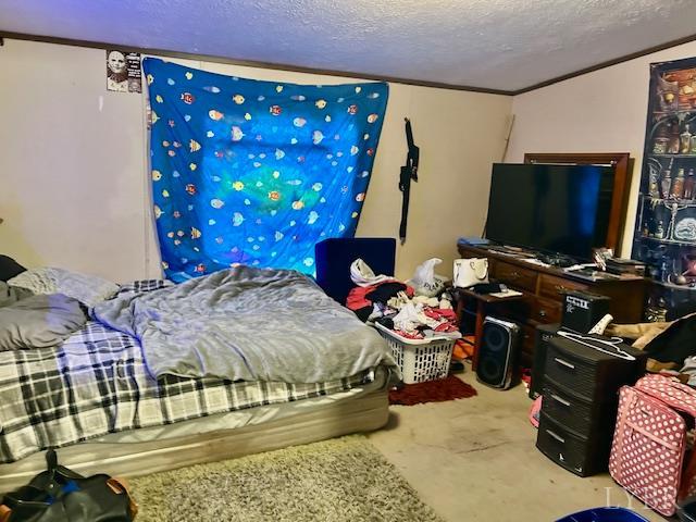 1959 Sweet Hollow Road Big Island, VA 24526 - Photo 7 of 26 a bedroom with bed and a flat screen tv