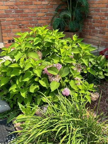 $599,000 | 5470 Cheltenham Drive, Troy, MI 48098