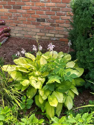 $599,000 | 5470 Cheltenham Drive, Troy, MI 48098