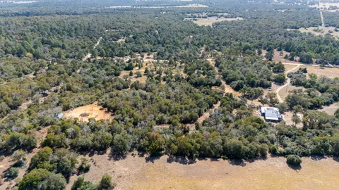 a view of a forest with a forest