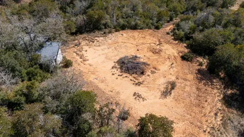 a view of a tree with a yard