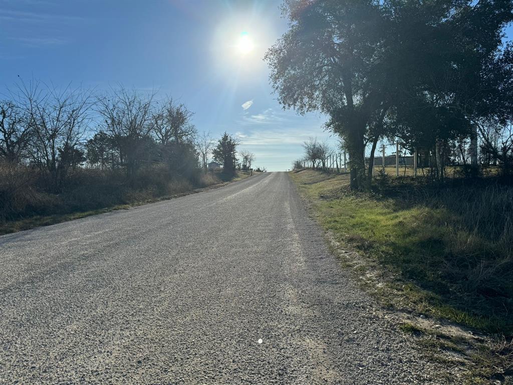8405 Taylorsville Road Dale, TX 78616 - Photo 10 of 13 Gravel road with a gentle incline, bordered by mature trees and natural vegetation