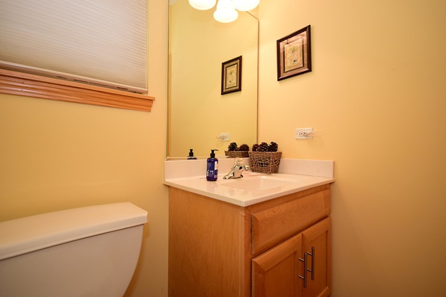 1859 Wagner Road Batavia, IL 60510 - Photo 11 of 25 a bathroom with a sink and a toilet