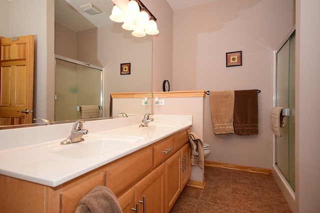 1859 Wagner Road Batavia, IL 60510 - Photo 13 of 25 a bathroom with a sink vanity and a mirror
