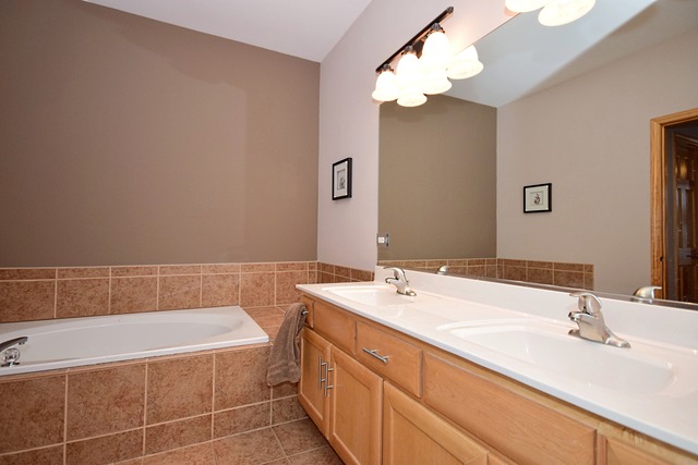 1859 Wagner Road Batavia, IL 60510 - Photo 14 of 25 a bathroom with a tub sink and mirror