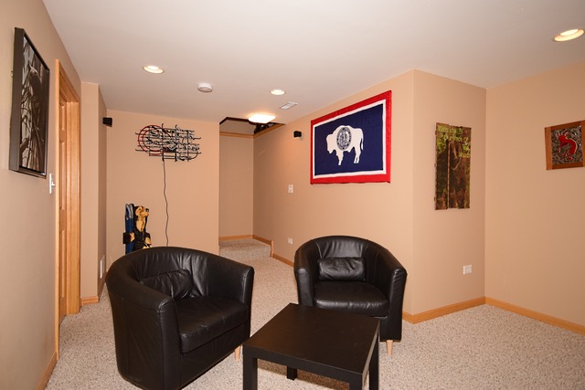 1859 Wagner Road Batavia, IL 60510 - Photo 24 of 25 a room with furniture and a chair