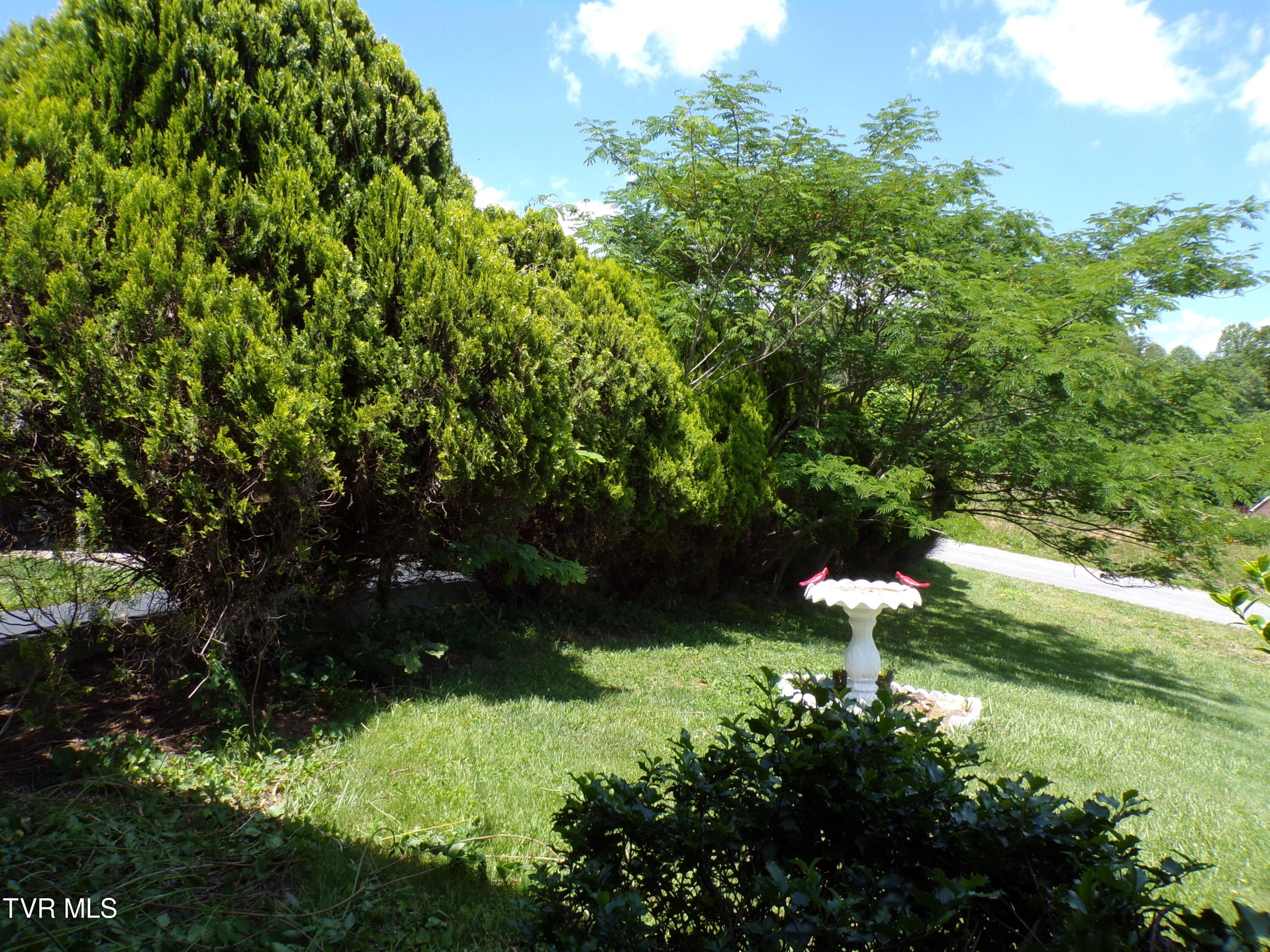 133 Cloud High Road Duffield, VA 24244 - Photo 2 of 32 Side Yard