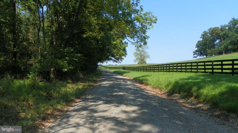 3370 Whiting Road Marshall, VA 20115 - Photo 2 of 17 View of the road