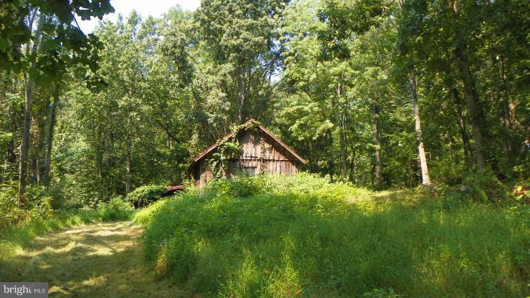 3370 Whiting Road Marshall, VA 20115 - Photo 3 of 17 Barn