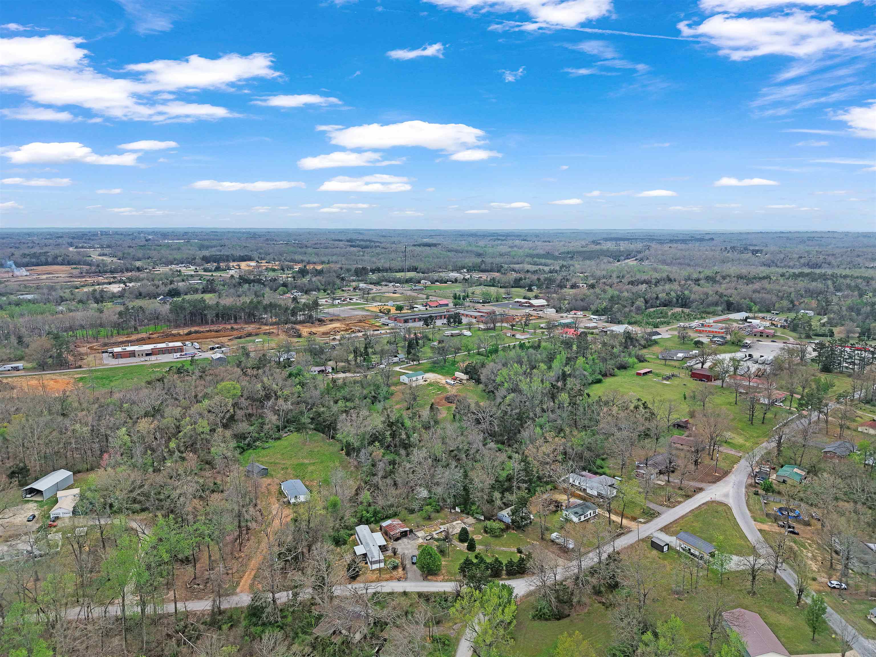 90 Rose Road Crump, TN 38327 - Photo 28 of 28 Bird's eye view of a forest