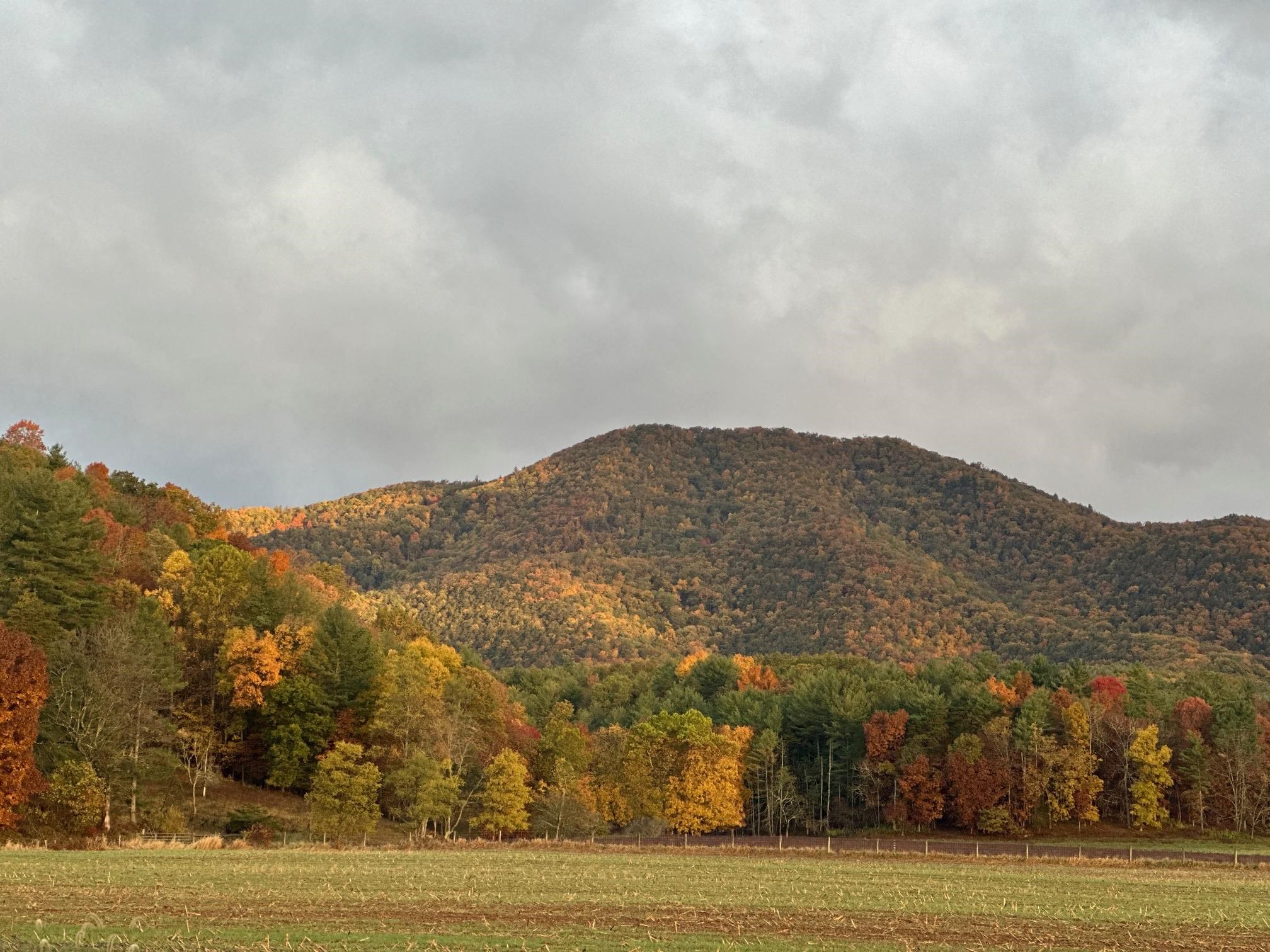 3292 Deerfield Valley Road Deerfield, VA 24432 - Photo 6 of 69 a view of a town with mountains in the background