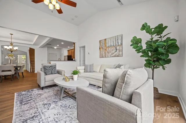 a living room with furniture potted plant and a rug