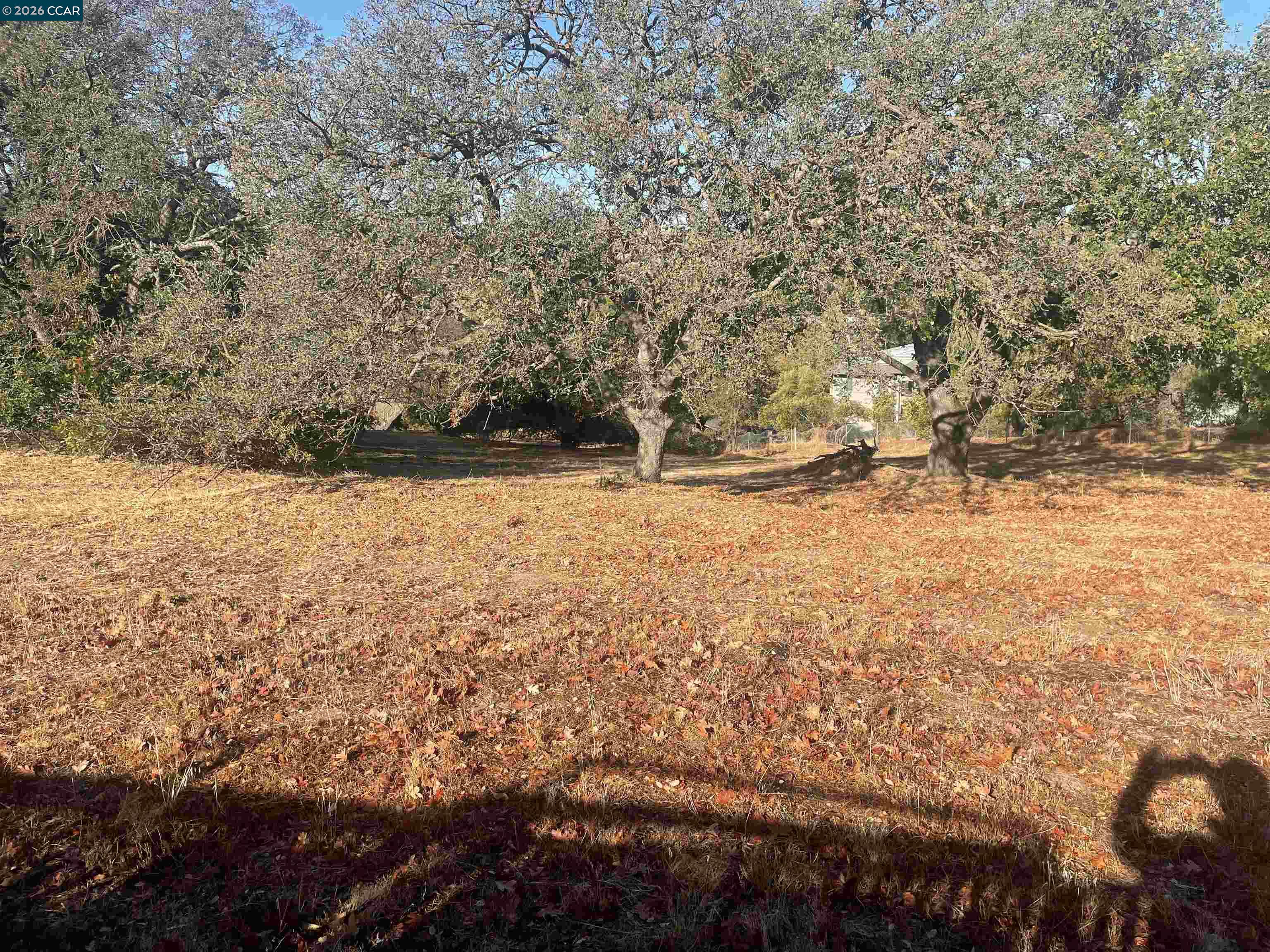 35 Hilltop Road Martinez, CA 94553 - Photo 4 of 7