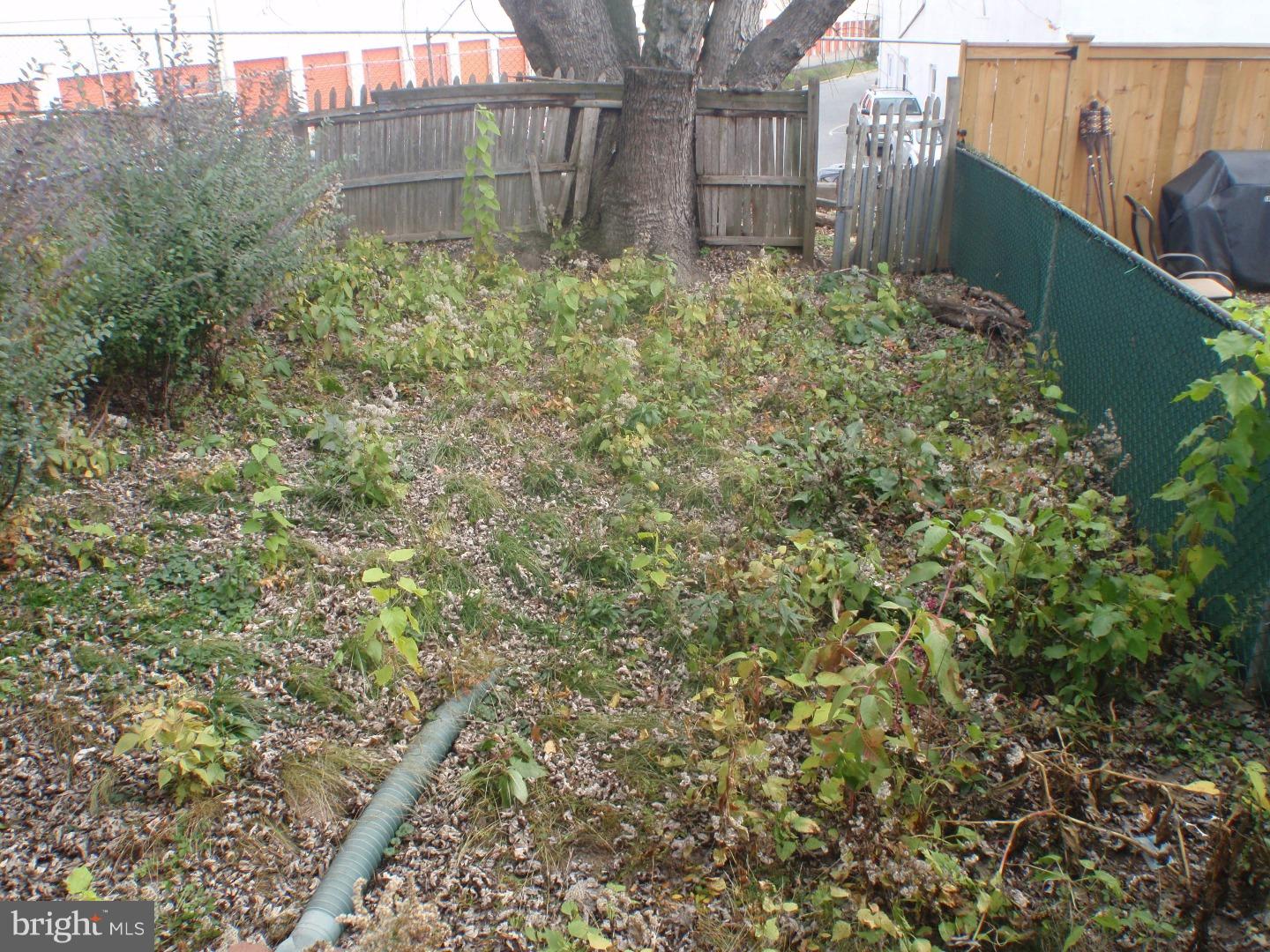 17 Vernon Road Havertown, PA 19083 - Photo 8 of 19 Back Yard