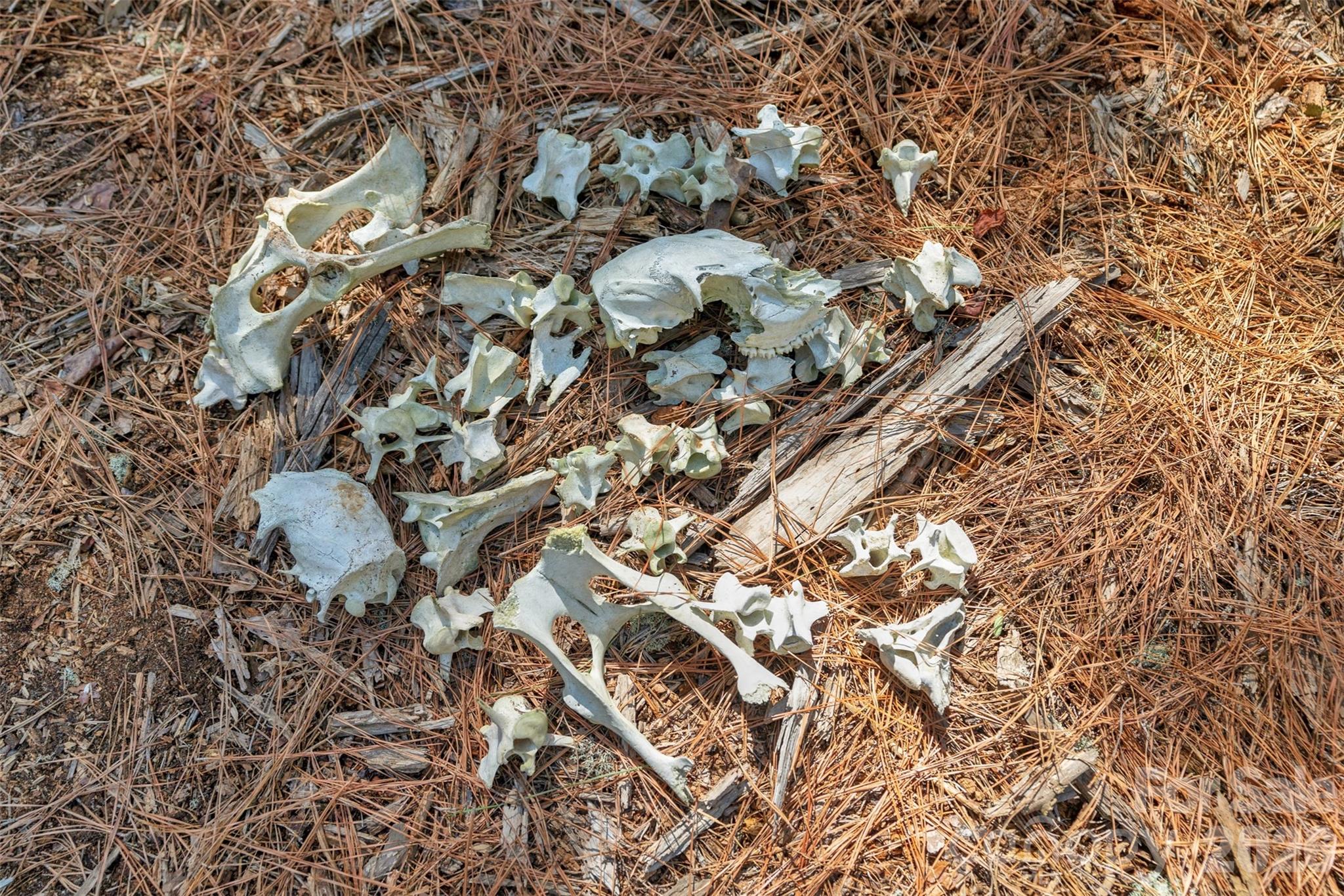 931 Charlie Johnson Road, Unit 6 Kershaw, SC 29067 - Photo 15 of 48