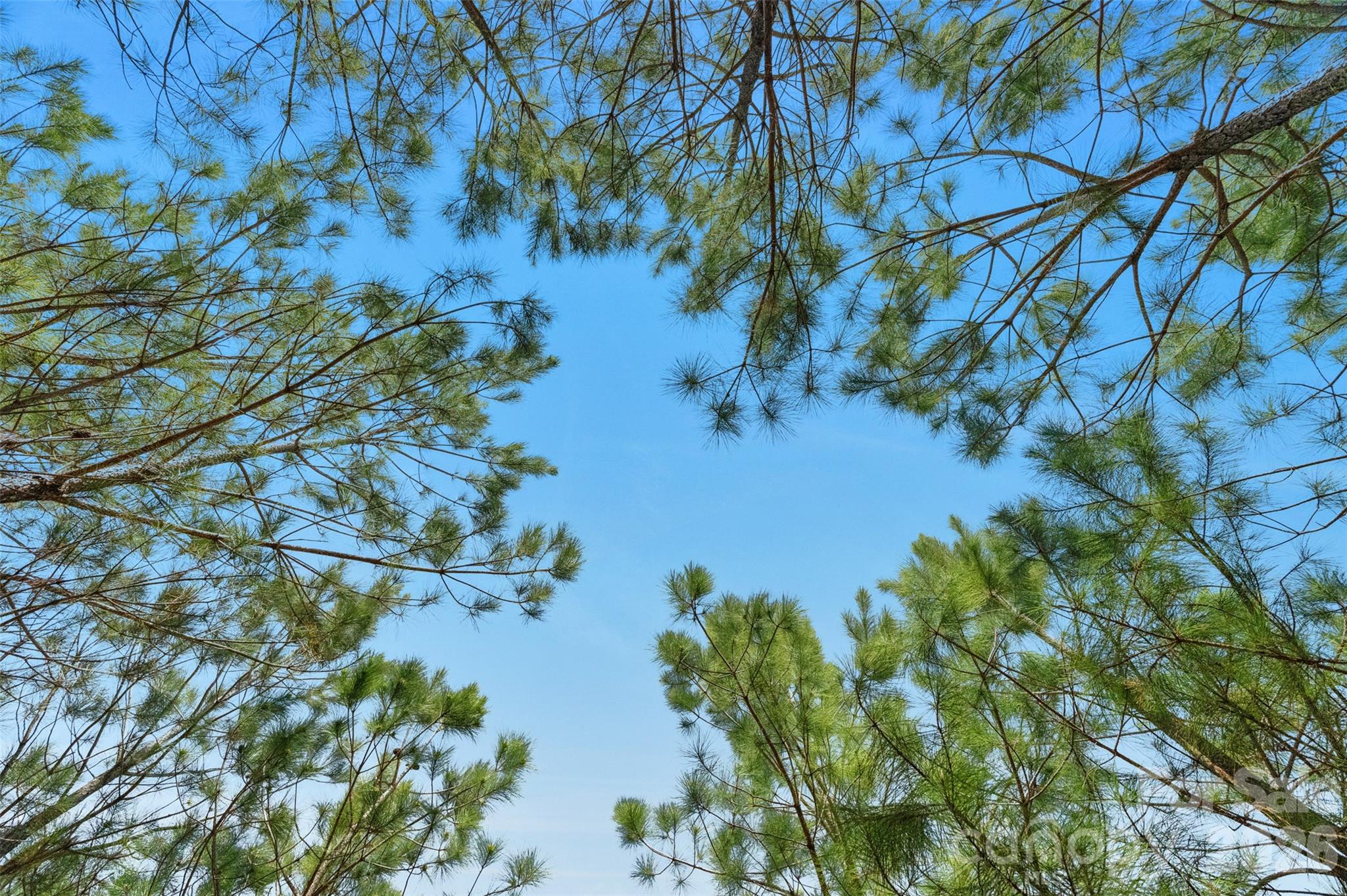 931 Charlie Johnson Road, Unit 6 Kershaw, SC 29067 - Photo 18 of 48