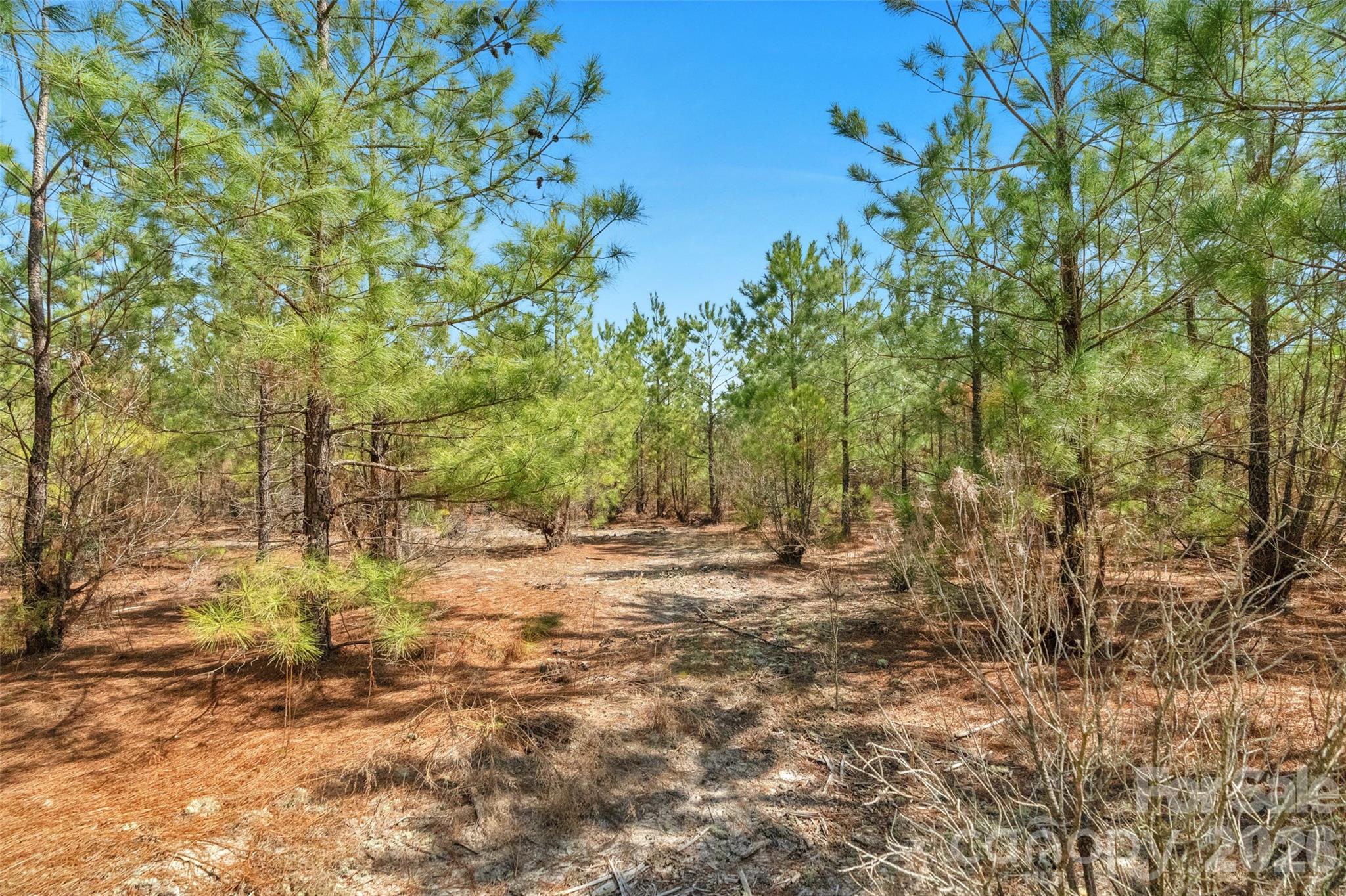 931 Charlie Johnson Road, Unit 6 Kershaw, SC 29067 - Photo 19 of 48