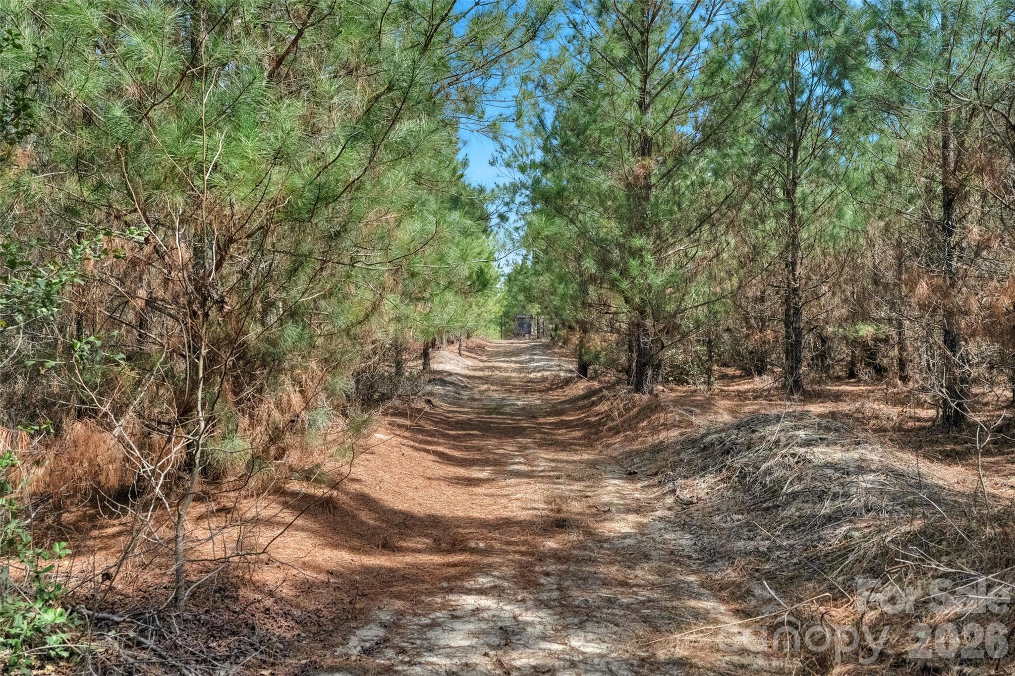 931 Charlie Johnson Road, Unit 6 Kershaw, SC 29067 - Photo 23 of 48