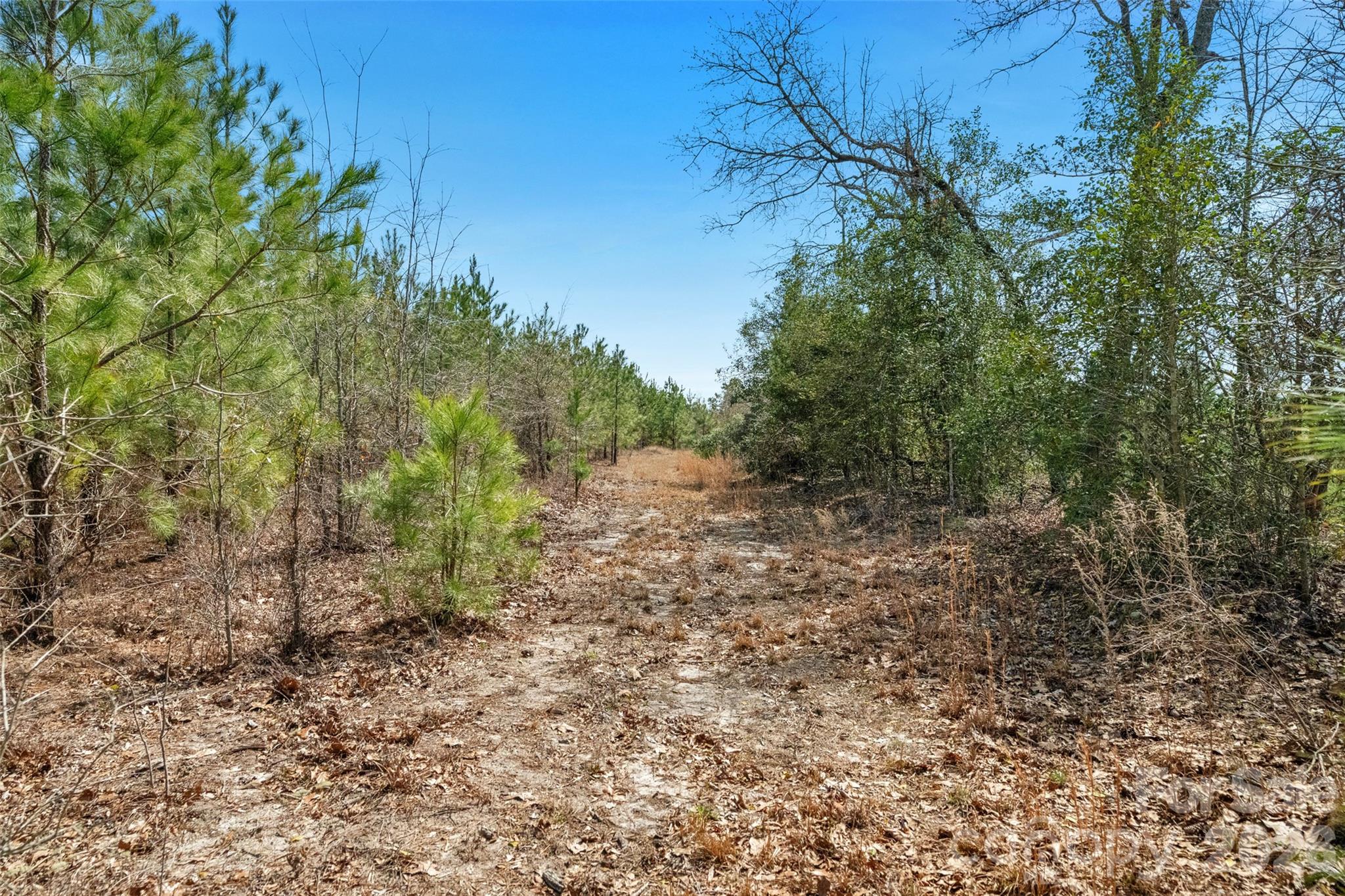 931 Charlie Johnson Road, Unit 6 Kershaw, SC 29067 - Photo 24 of 48