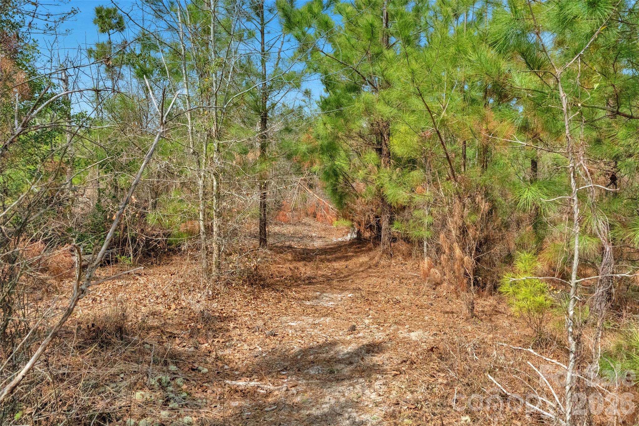 931 Charlie Johnson Road, Unit 6 Kershaw, SC 29067 - Photo 25 of 48