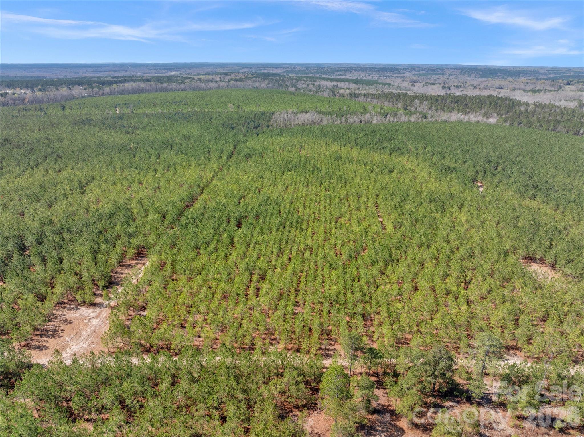 931 Charlie Johnson Road, Unit 6 Kershaw, SC 29067 - Photo 3 of 48