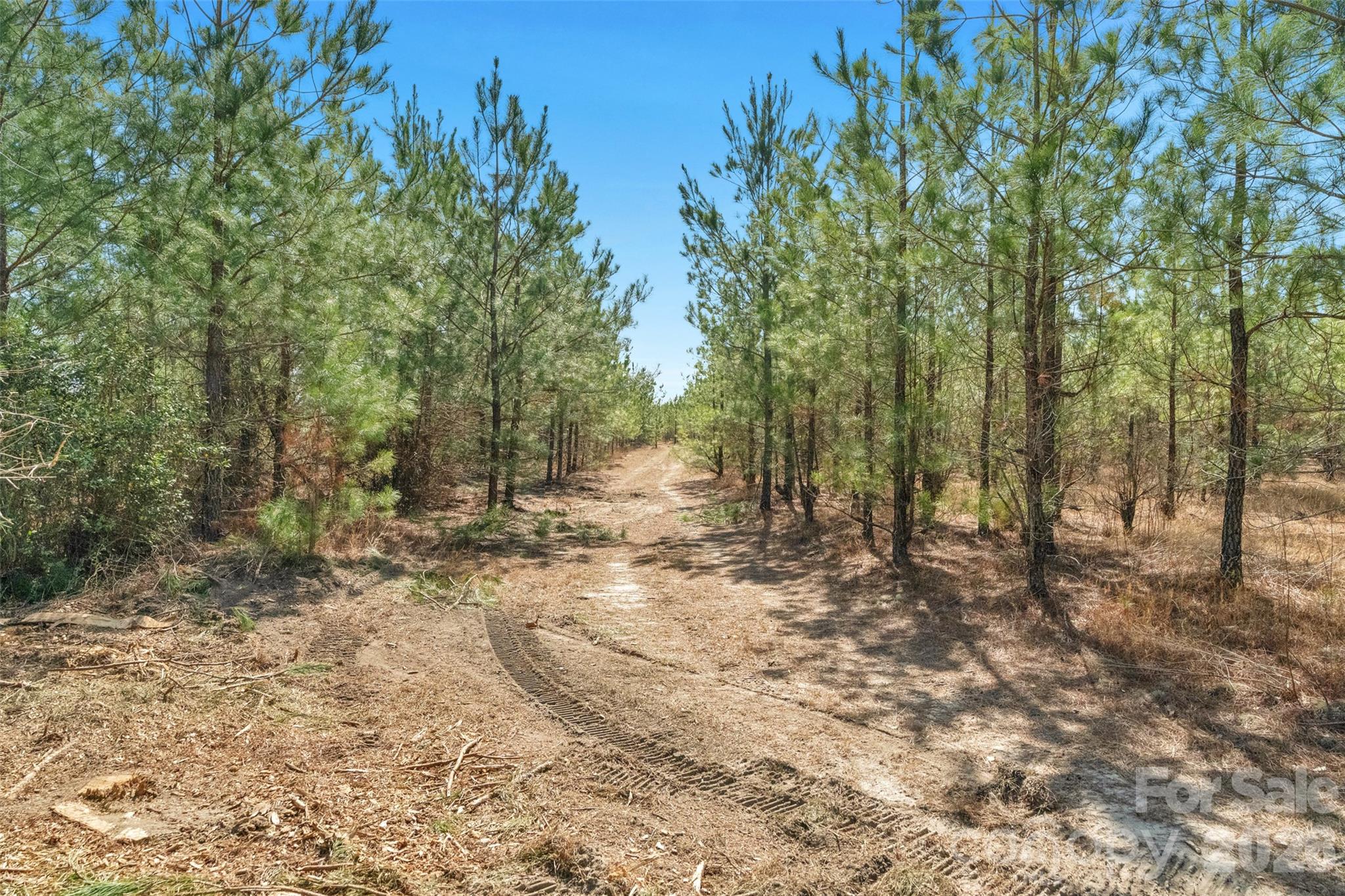 931 Charlie Johnson Road, Unit 6 Kershaw, SC 29067 - Photo 37 of 48