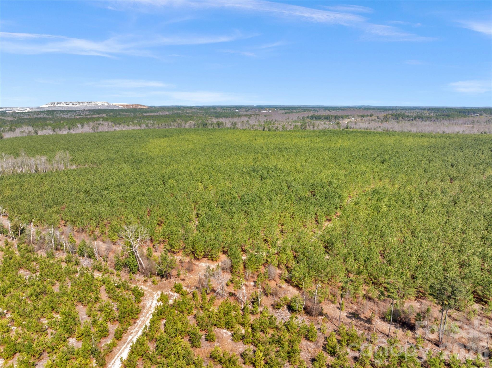 931 Charlie Johnson Road, Unit 6 Kershaw, SC 29067 - Photo 39 of 48