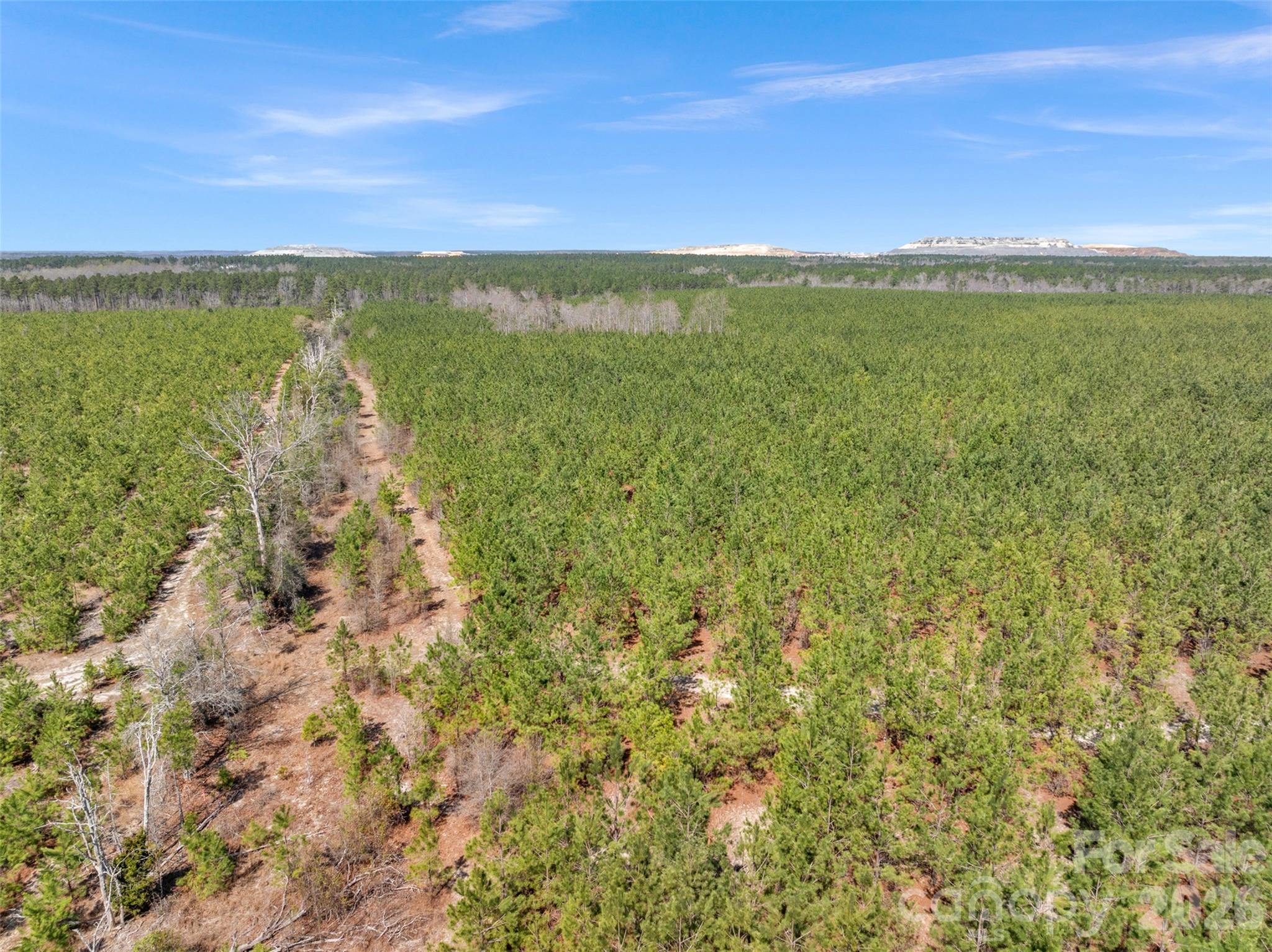 931 Charlie Johnson Road, Unit 6 Kershaw, SC 29067 - Photo 40 of 48