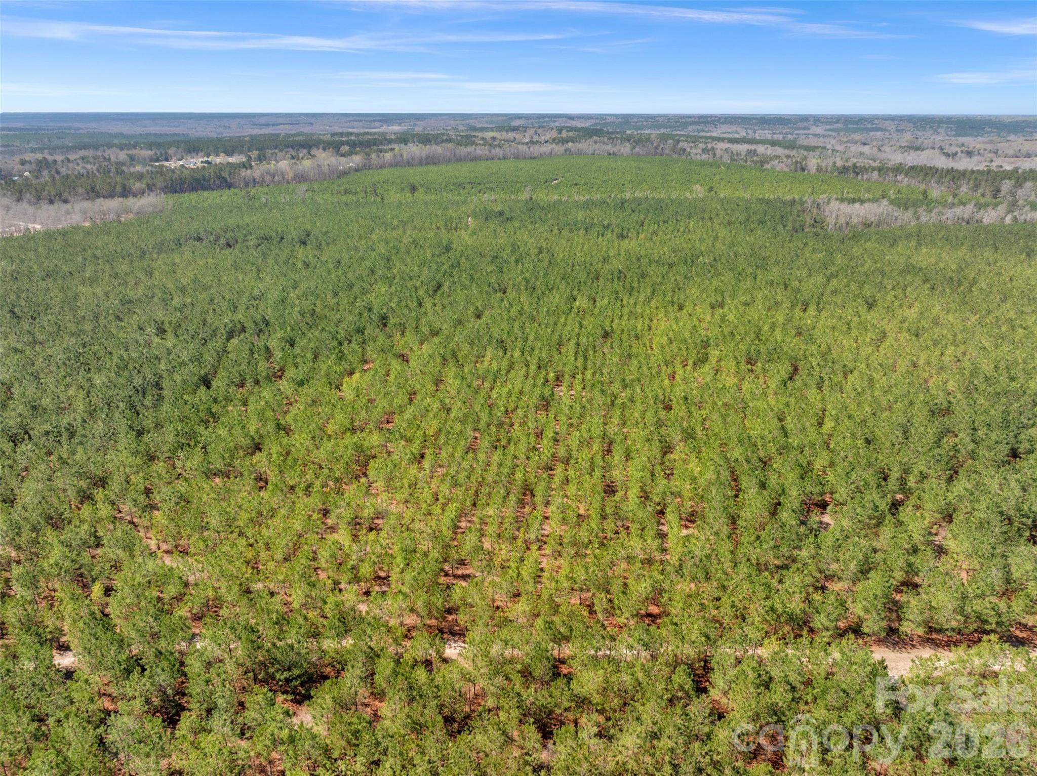 931 Charlie Johnson Road, Unit 6 Kershaw, SC 29067 - Photo 41 of 48