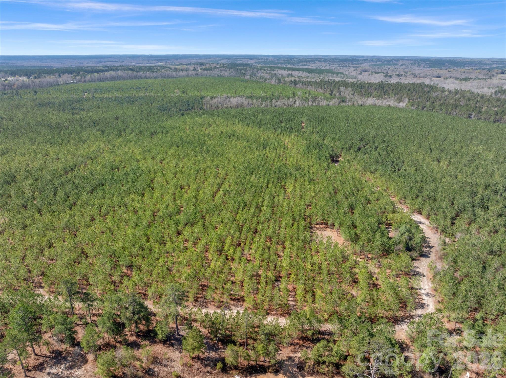 931 Charlie Johnson Road, Unit 6 Kershaw, SC 29067 - Photo 43 of 48