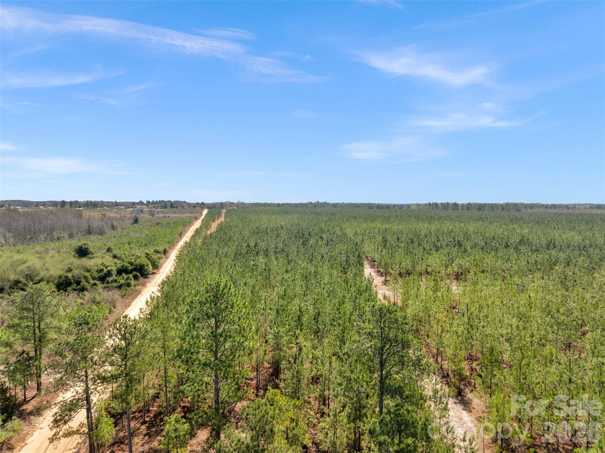 931 Charlie Johnson Road, Unit 6 Kershaw, SC 29067 - Photo 44 of 48