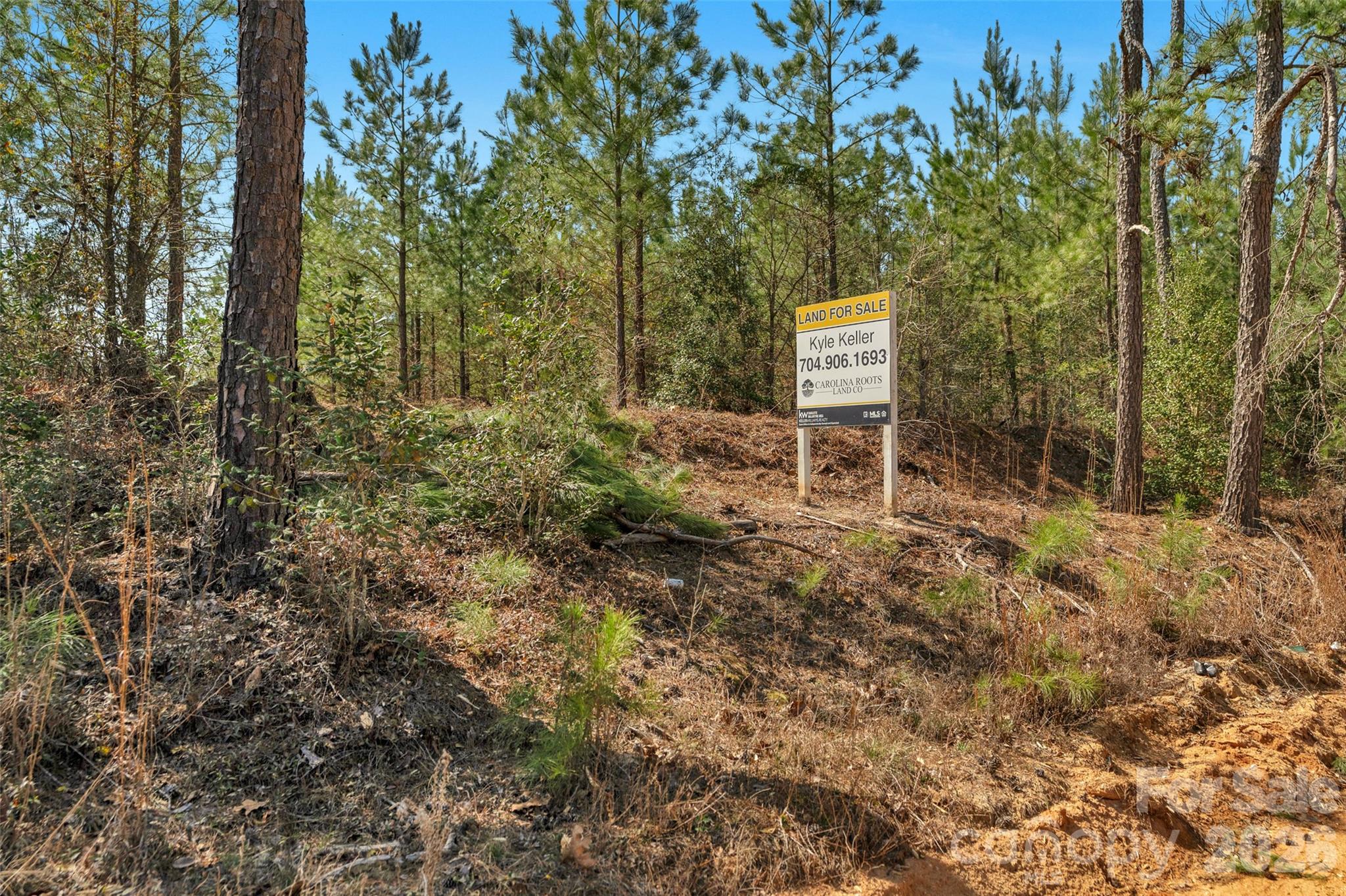 931 Charlie Johnson Road, Unit 6 Kershaw, SC 29067 - Photo 5 of 48