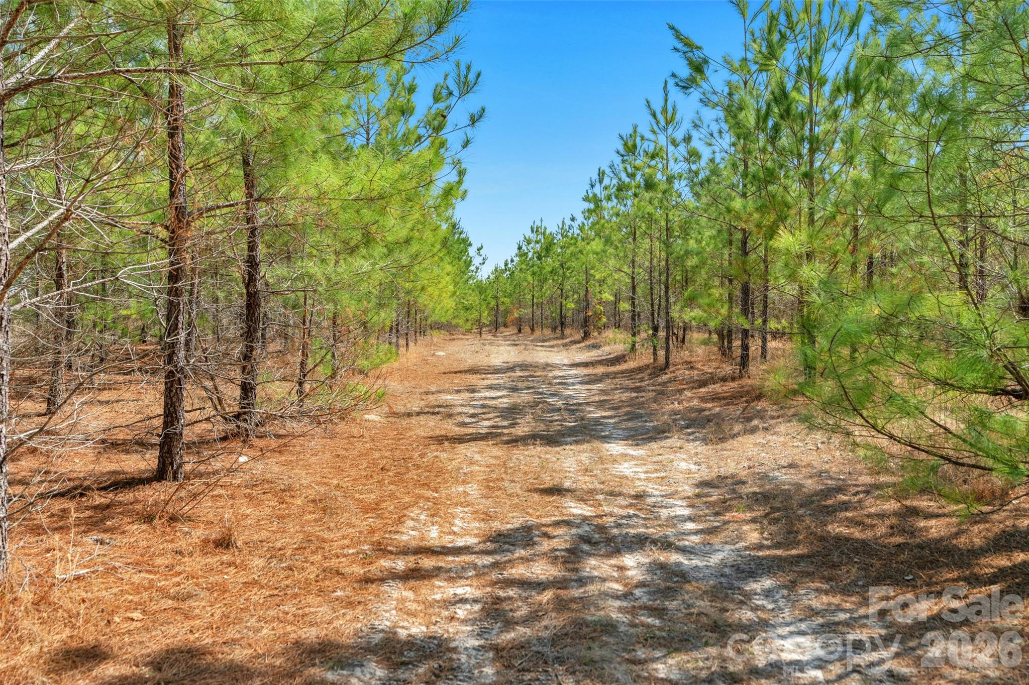 931 Charlie Johnson Road, Unit 6 Kershaw, SC 29067 - Photo 8 of 48