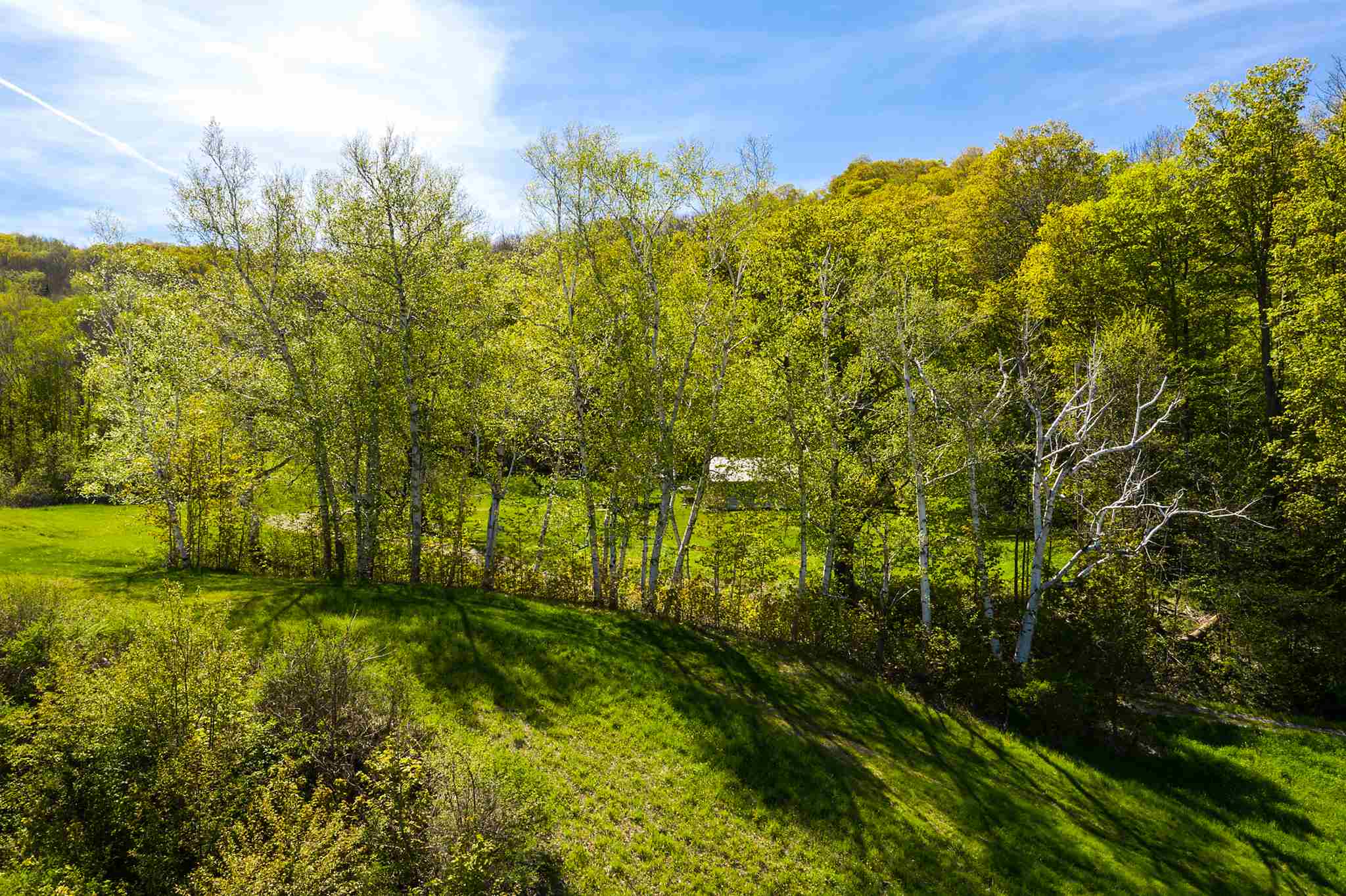 795 Nims Road Dorset, VT 05251 - Photo 13 of 21 Gallery Image 13