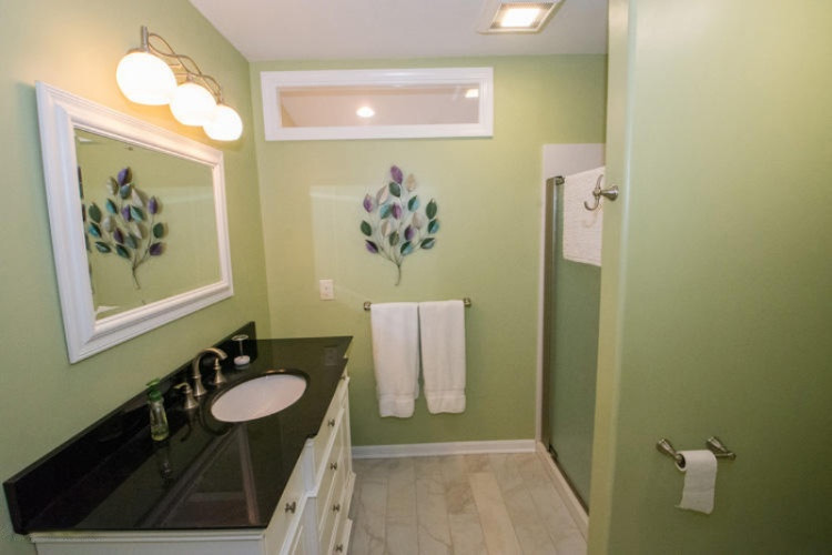 61226 Lenawee Road Cassopolis, MI 49031 - Photo 41 of 49 61226 Lenawee Cass Master bath