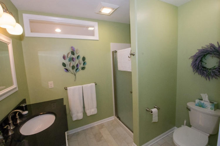 61226 Lenawee Road Cassopolis, MI 49031 - Photo 7 of 49 61226 Lenawee Cass Master bath (2)
