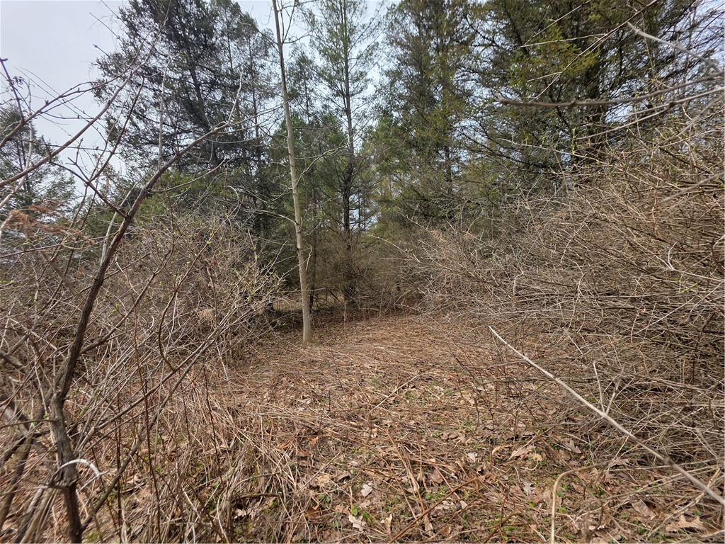 Dingman Hill Road Bainbridge, NY 13733 - Photo 16 of 21